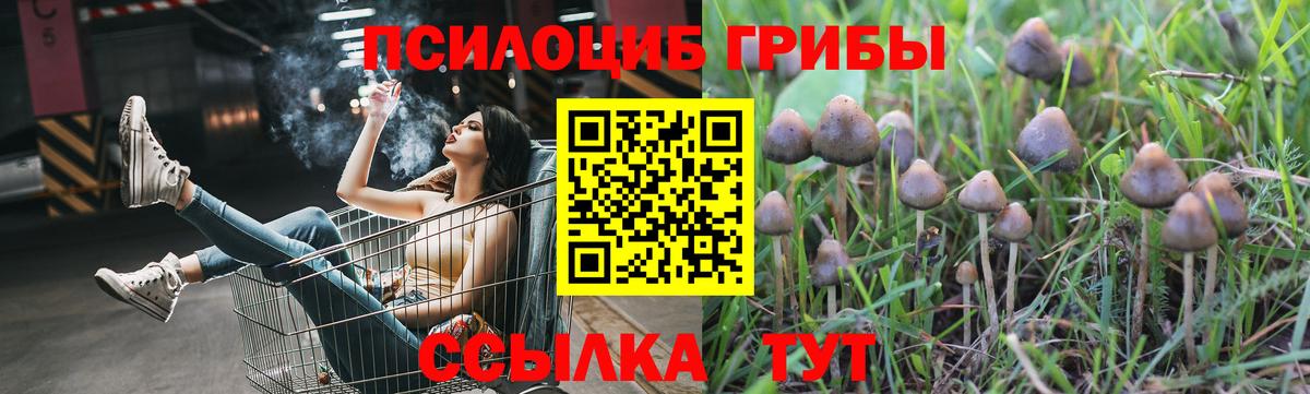 Галлюциногенные грибы прущие грибы Сочи