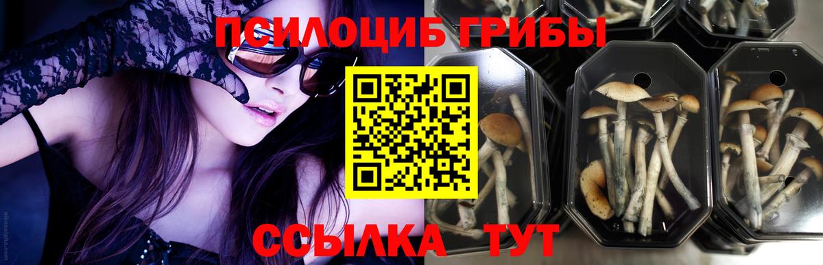 Галлюциногенные грибы ЛСД  Вход с VPN  Сочи 